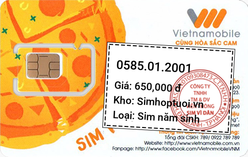 Sim 0585012001 